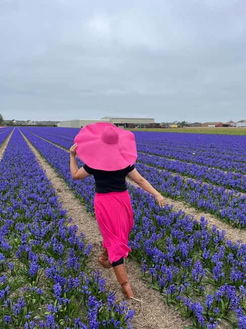 Amsterdam: Private Keukenhof and Free Tulip Tour - Who this Keukenhof private tour is best for