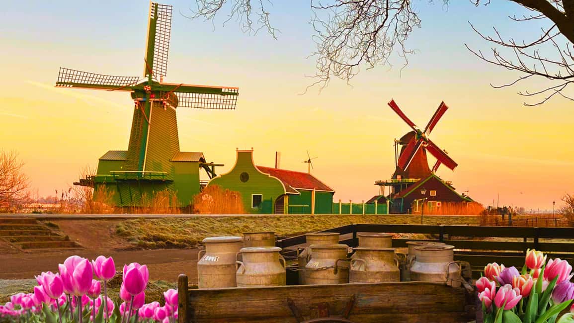 Amsterdam: Private Tour Giethoorn, Zaanse Schans Local Guide - Key things to look forward to