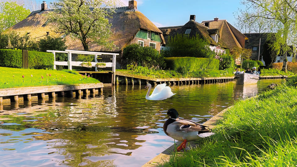 Amsterdam: Private Tour Giethoorn, Zaanse Schans Local Guide - FAQ