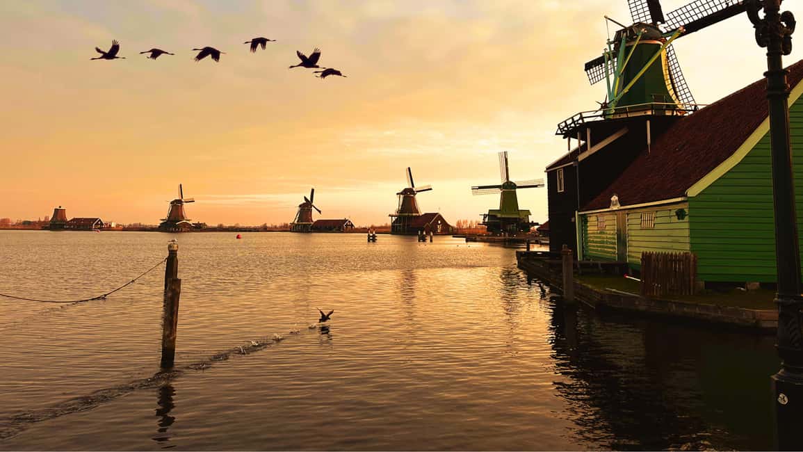 Amsterdam: Private Tour Giethoorn, Zaanse Schans Local Guide - Zaanse Schans: windmills, cheese, clogs, and the crafts you can actually touch