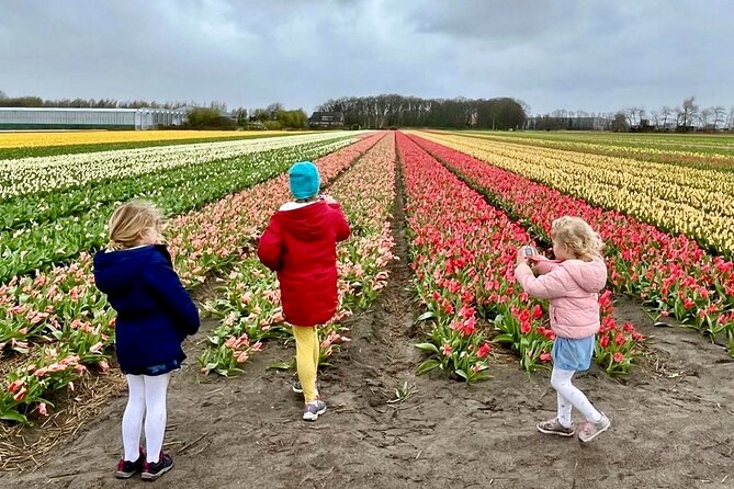 Amsterdam Private Tour to Keukenhof, Tulip Fields and Windmills - Door-to-door pickup from Amsterdam (and the Schiphol add-on)