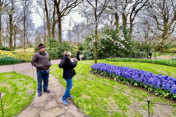 Amsterdam Private Tour to Keukenhof, Tulip Fields and Windmills - Tulip fields: more space, better angles, fewer regrets