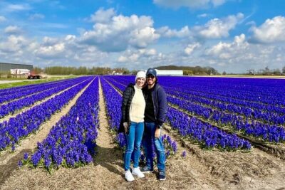 Amsterdam Private Tour to Keukenhof, Tulip Fields and Windmills - Keukenhof: tulip time without wasting your energy