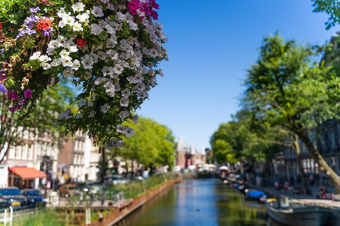 Amsterdam Private Walking Tour - A private walk that covers the Amsterdam “greatest hits”
