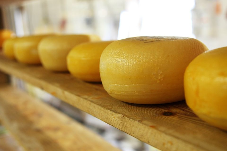 Amsterdam: Private Zaanse Schans Windmills and Volendam Trip - Henri Willig Kaas BV: Cow Moments and Cheese Tasting Done Right