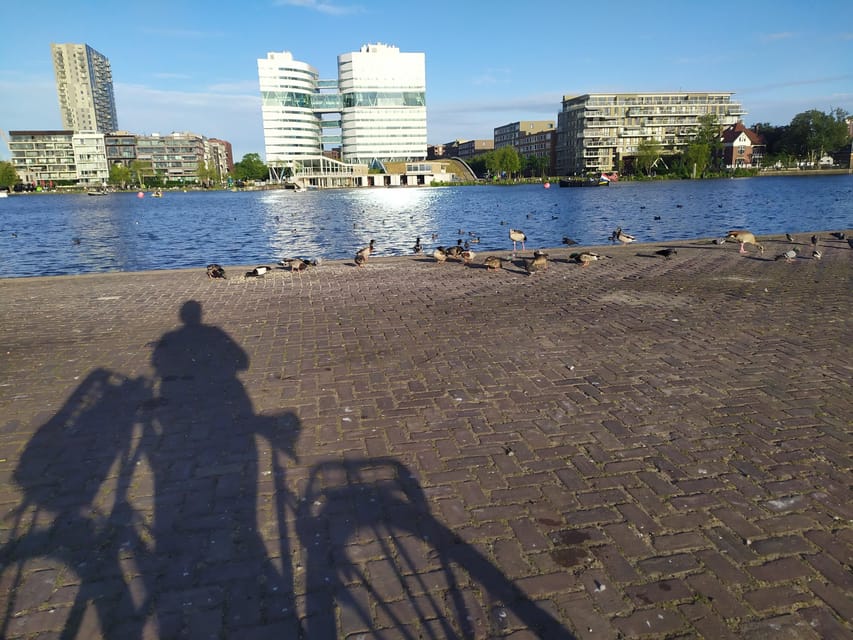 Amsterdam: Rainbow Rural Bike Tour With Local Gay Guide - The North’s Creative Edge: Abandoned Harbor and Murals