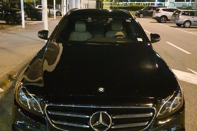 Amsterdam Schiphol Airport (AMS) to Amsterdam - Arrival Private Transfer - Group size, privacy, and who benefits most