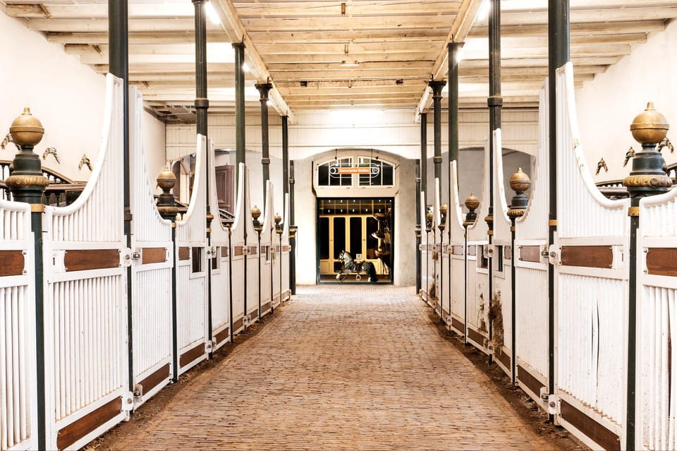 Amsterdam: The 'Hollandsche Manege' Stables Entry Ticket - Price: $18 for horses, museum time, and live lessons