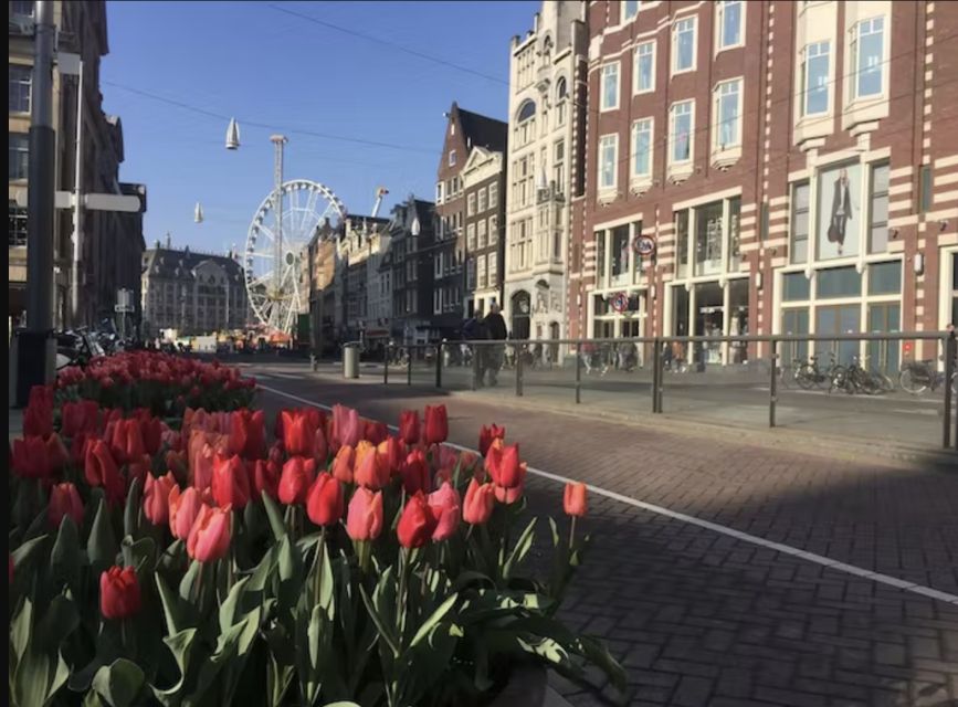 Amsterdam: The Story of History & Culture Walking Tour - Price and what makes $37 feel fair