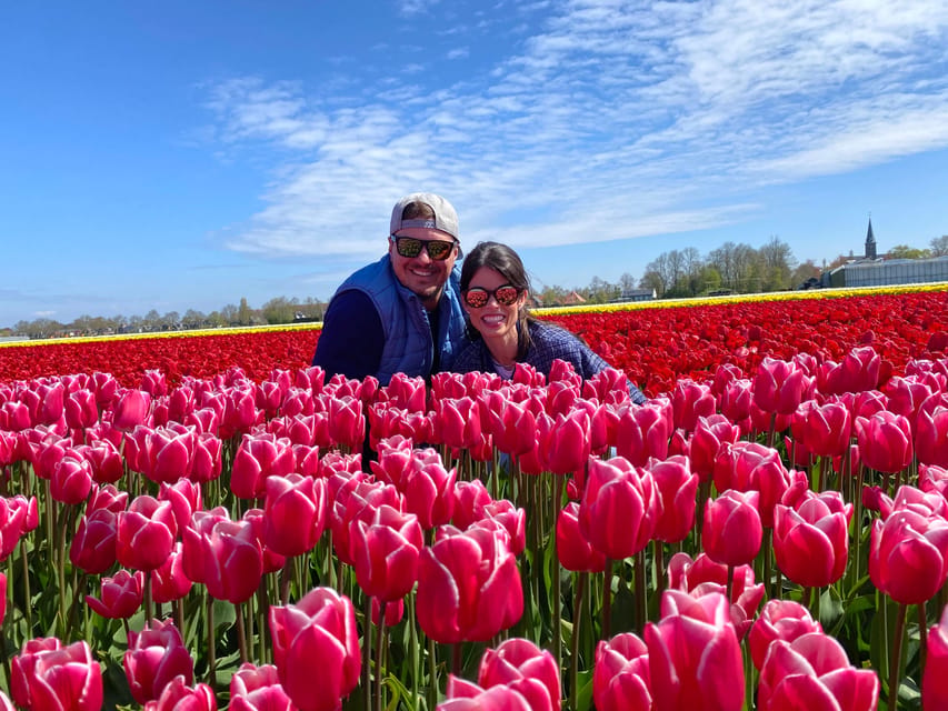 Amsterdam: Tulip Fields Day Tour with Lunch & Windmill - A Crowd-Free Tulip Day Trip That Feels Local