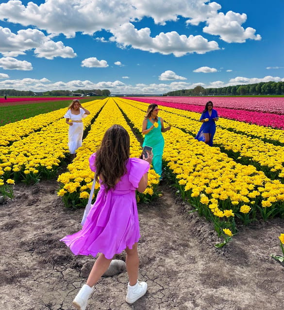 Amsterdam: Tulip Fields Day Tour with Lunch & Windmill - Metro Noord Start: Simple, Fast, and Worth Knowing