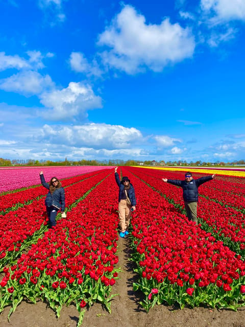 Amsterdam: Tulip Fields Day Tour with Lunch & Windmill - Price and Value: Is $143 Worth It?