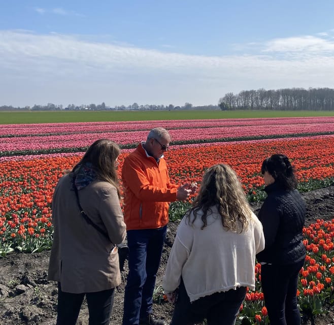 Amsterdam: Tulip Fields Day Tour with Lunch & Windmill - Who This Tour Fits Best