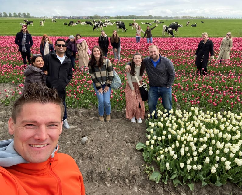 Amsterdam: Tulip Fields Day Tour with Lunch & Windmill - Should You Book This Amsterdam Tulip Fields Day Tour?