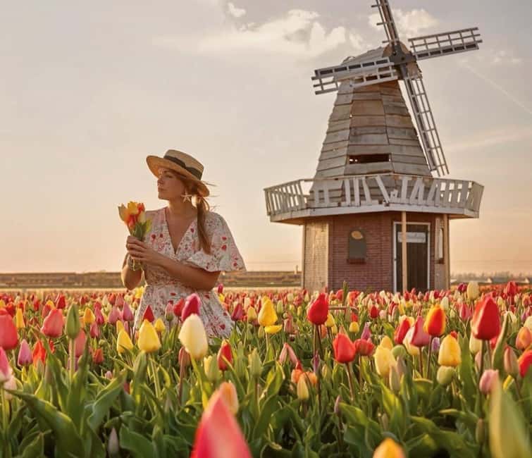 Amsterdam : Tulip Wonderland Tour - The 30-minute coach ride: short, scenic, and useful