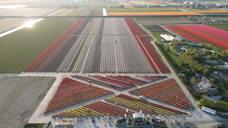 Amsterdam : Tulip Wonderland Tour - Rain or shine: shoe covers and what to pack