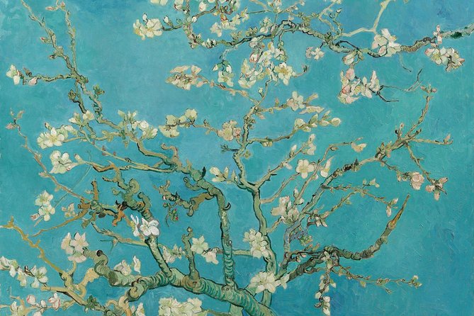 Amsterdam: Van Gogh Museum Entry & 75 minute City Canal Cruise - Scheduling tips: how to make this package feel effortless
