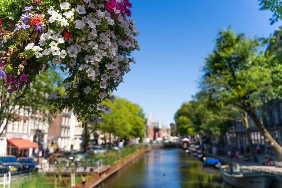 Amsterdam Walking Tour with Cheese Tasting - One last check: the practical details that matter