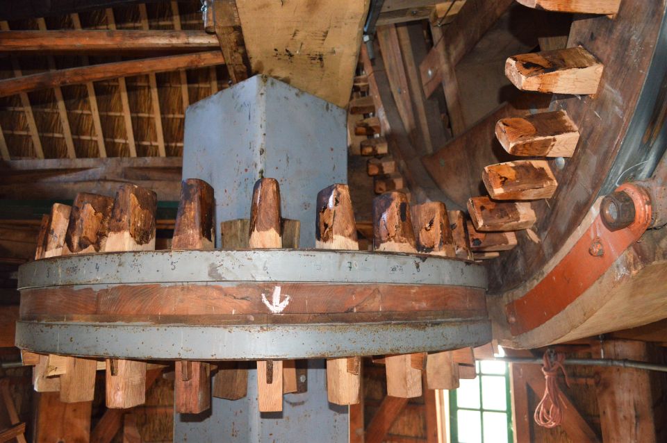 Amsterdam: Windmill Guided Tour - Panoramic Views From Higher Up (and What to Look For)