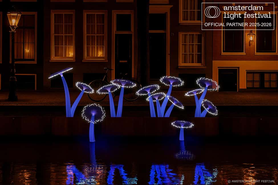 Amsterdam Winter Walking Tour - Why a 2-hour winter walk works so well in Amsterdam