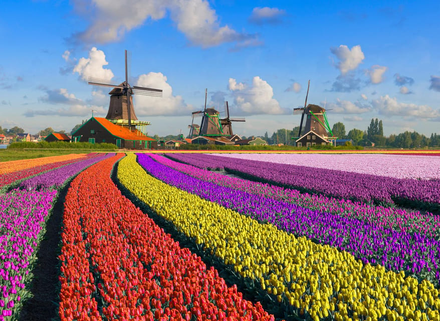 Amsterdam: Zaanse Schans, The Hague & Rotterdam Tour - The Hague: Peace Palace, royal ties, and a real Dutch city stroll