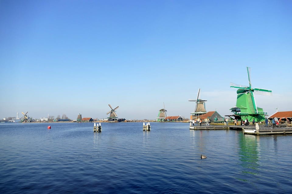 Amsterdam: Zaanse Schans, The Hague & Rotterdam Tour - Markthal: your practical food-and-souvenir payoff