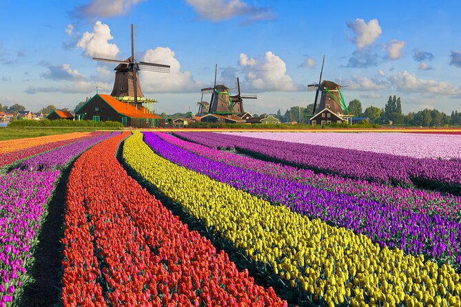 Best of Netherlands: Zaanse Schans Mills, The Hague & Rotterdam - How the day actually feels: pacing, comfort, and timing