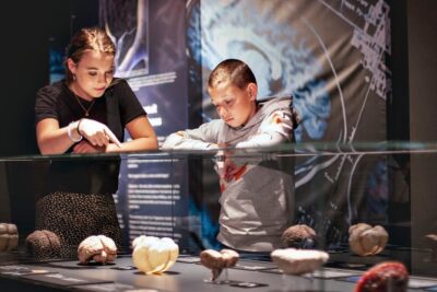Body Worlds Amsterdam Admission Ticket - The Happiness Project: where mood meets anatomy