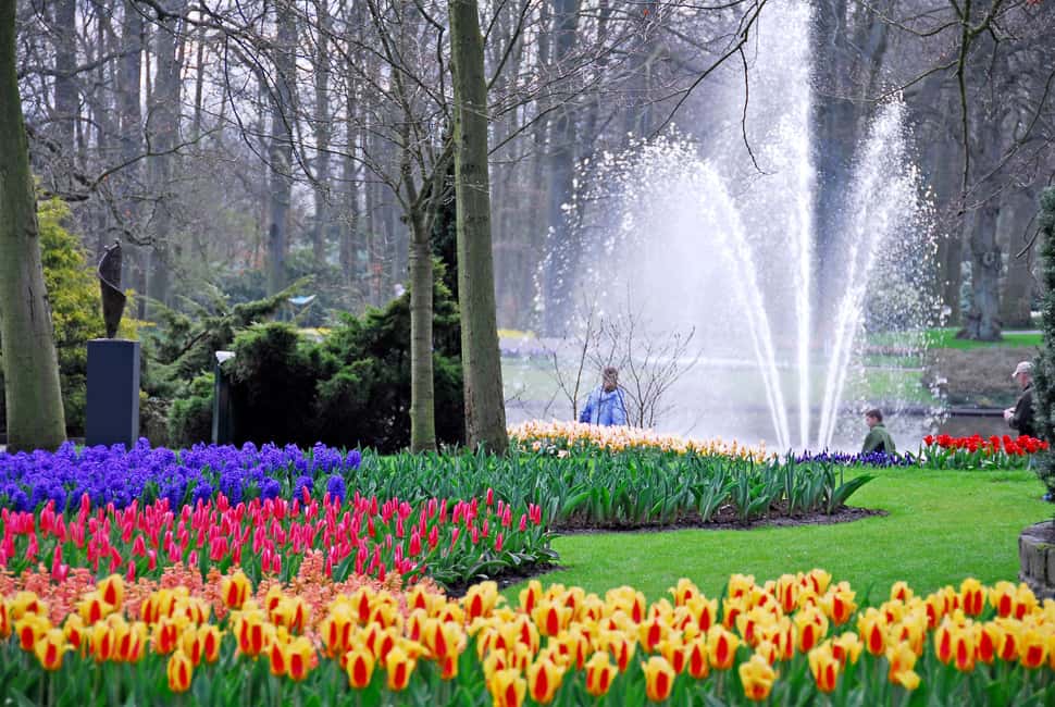 Brussels: Holland Keukenhof & Kinderdijk Guided Day Tour - Quick hits before you go