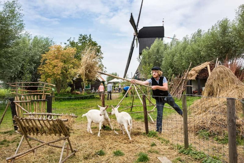 Brussels: Holland Keukenhof & Kinderdijk Guided Day Tour - Weather and tulip expectations: manage the one thing you can’t control