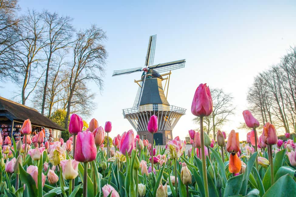 Brussels: Holland Keukenhof & Kinderdijk Guided Day Tour - What to bring and what to skip