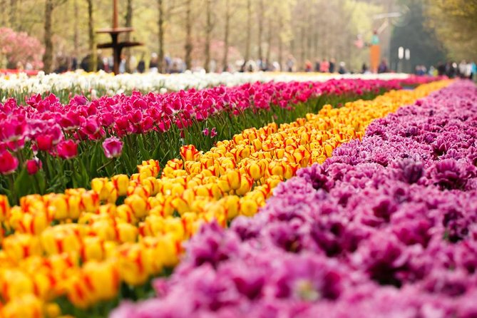 Day Trip to Keukenhof Gardens from Amsterdam with Tour Guide - The 9:00 am pick-up at AlohaDe Ruijterkade: how to make it painless