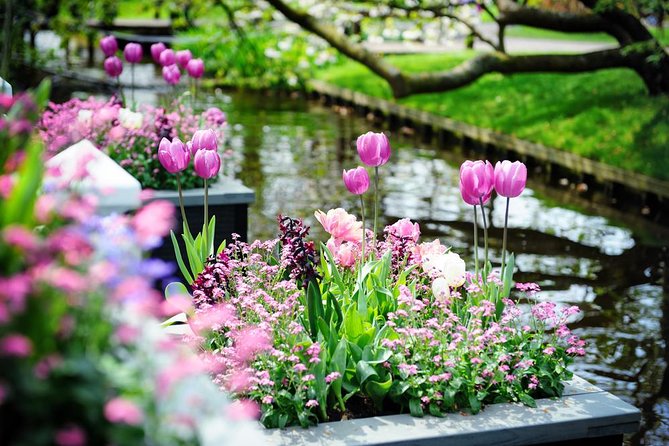 Day Trip to Keukenhof Gardens from Amsterdam with Tour Guide - Keukenhof tour flow: the Oranje Nassau intro and the Carolus Clusius story