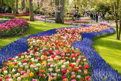 Day Trip to Keukenhof Gardens from Amsterdam with Tour Guide - The coach ride: what the guide adds before you reach the tulips