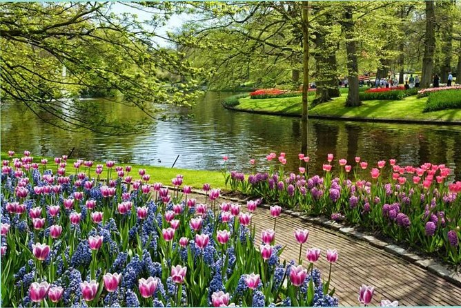 Day Trip to Keukenhof Gardens from Amsterdam with Tour Guide - The guide experience: when it’s great, and what to watch for