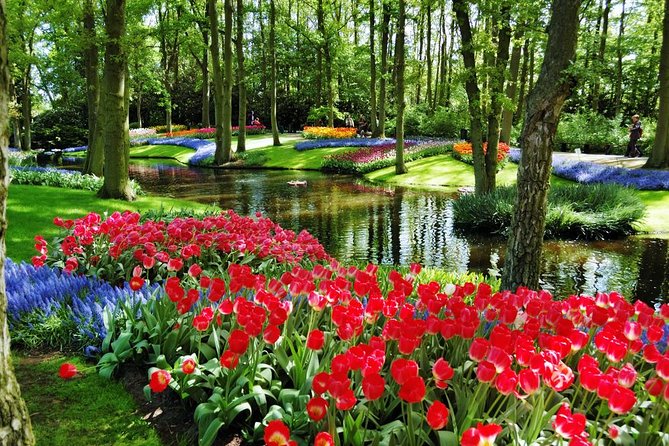 Day Trip to Keukenhof Gardens from Amsterdam with Tour Guide - Logistics that matter: food, tickets, and what you should carry