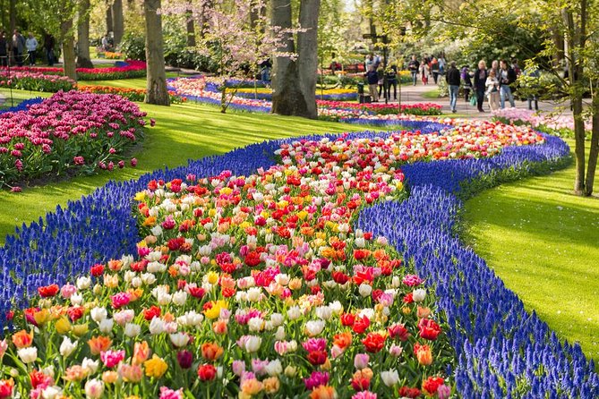 Day Trip to Keukenhof Gardens from Amsterdam with Tour Guide - The coach ride: what the guide adds before you reach the tulips