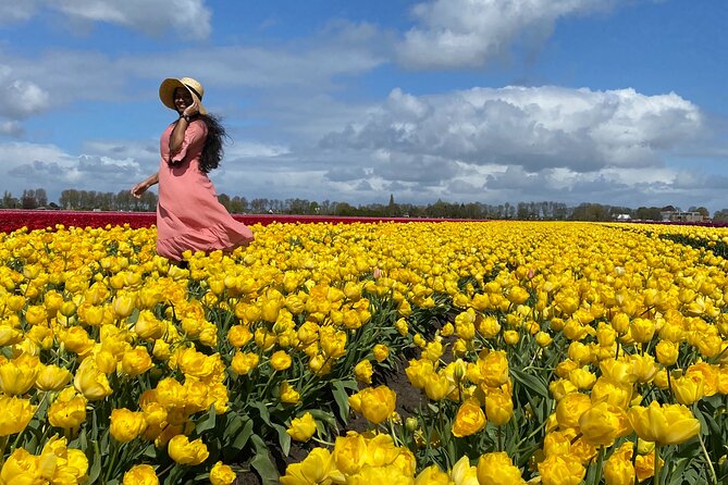 Discover Holland’s Beautiful Tulip Fields with an Expert Guide - Twisk and Venhuizen: two tulip stops you can actually walk