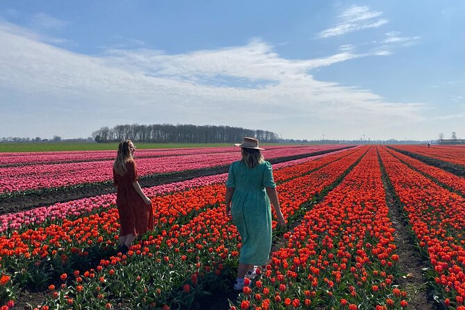 Discover Holland’s Beautiful Tulip Fields with an Expert Guide - Museummolen Schermer: step inside a real windmill