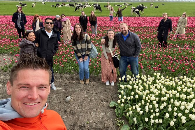 Discover Holland’s Beautiful Tulip Fields with an Expert Guide - Timing and photos: how to maximize tulip rows