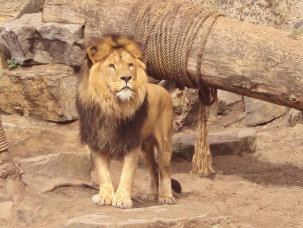 E-Bike Tour, Amsterdam's Highlights and Hidden Gems - Toward ARTIS Amsterdam Royal Zoo and Entrepotdok water views