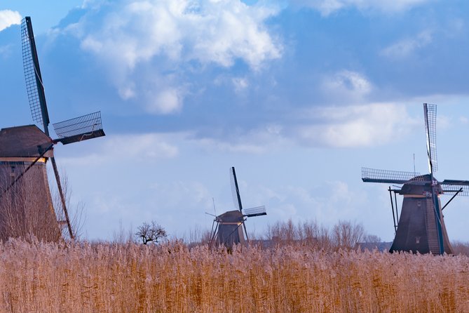 Famous Holland Tour: visit The Hague, Delft, Rotterdam and Kinderdijk from A'dam - The Hague’s Binnenhof Complex and the Ridderzaal Hall of Knights