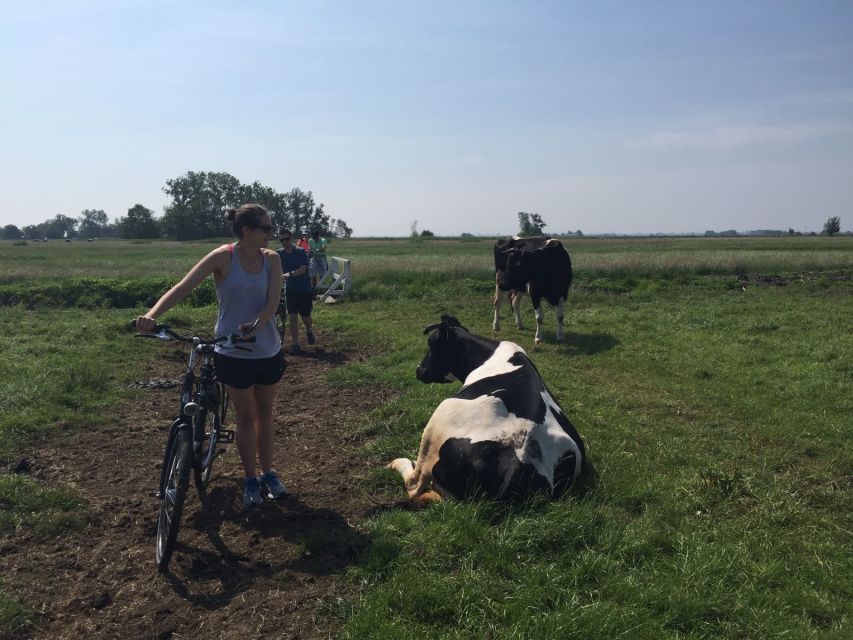 From Amsterdam: Countryside Bike Tour - Pedaling Dutch water management: dikes, embankments, and staying dry