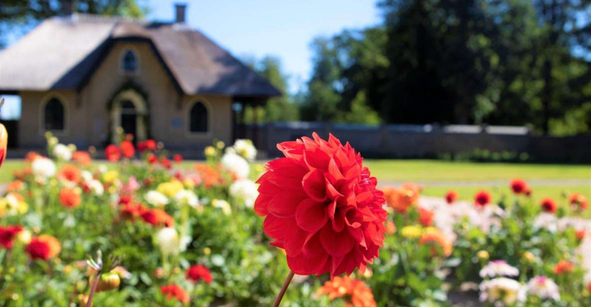 From Amsterdam: Holland Flower and Windmill Tour - summer ed - A Simple One-Day Getaway From Amsterdam