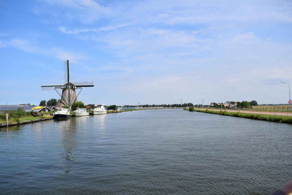 From Amsterdam: Holland Flower and Windmill Tour - summer ed - Walking Through the CNB Summer Flower Garden (and Actually Taking Photos)