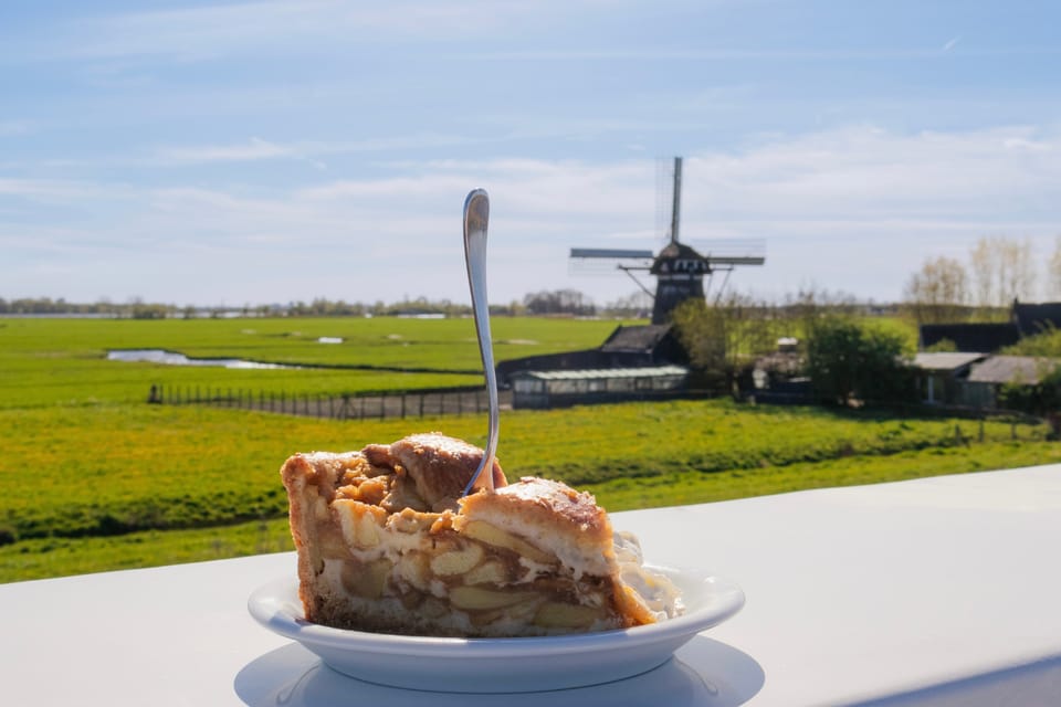 From Amsterdam: Holland Flower and Windmill Tour - summer ed - How the Coach Ride Affects Your Experience (Comfort and Timing)