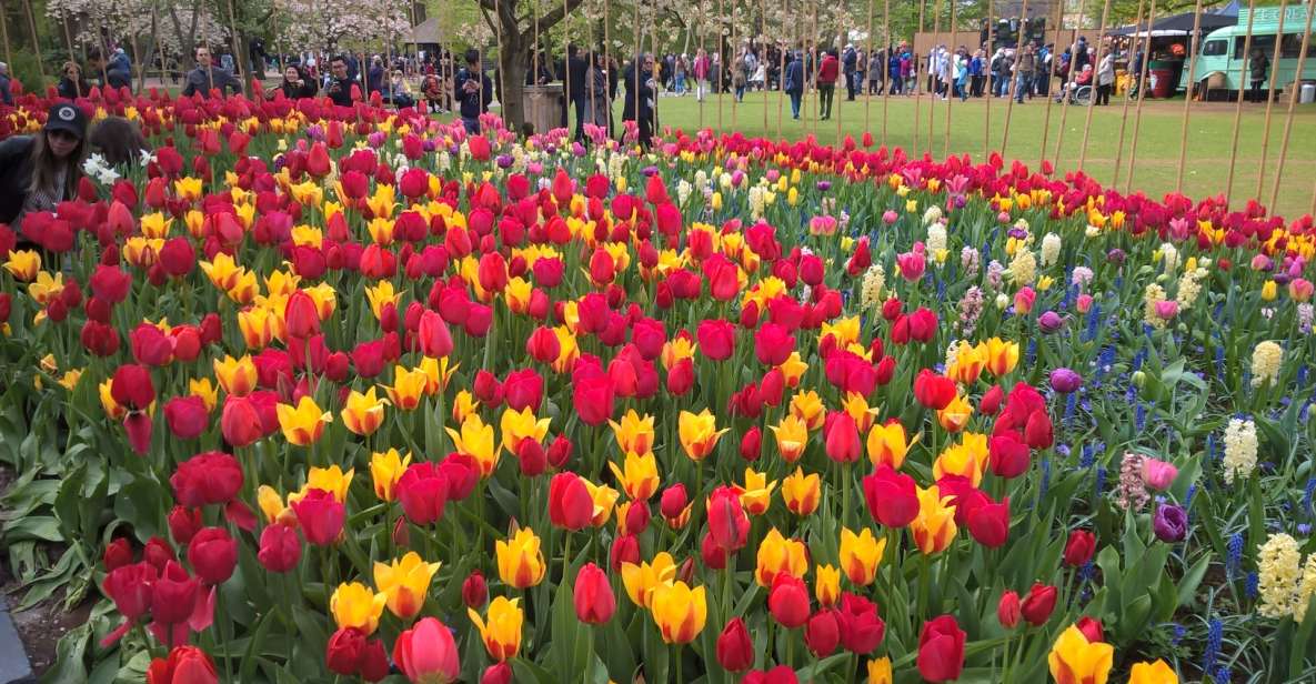 From Amsterdam: Keukenhof and Zaanse Schans Small Group Tour - Ride time and how it affects your day