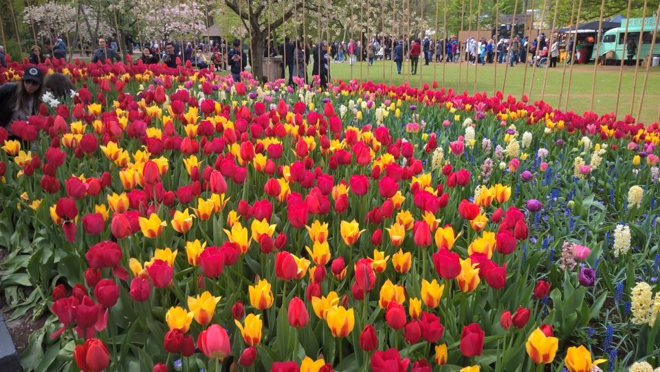 From Amsterdam: Keukenhof and Zaanse Schans Small Group Tour - Keukenhof: tulips that look like they’re set to music