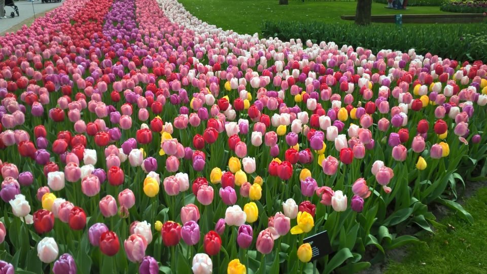 From Amsterdam: Keukenhof and Zaanse Schans Small Group Tour - Morning start at LOT61: where the day actually begins