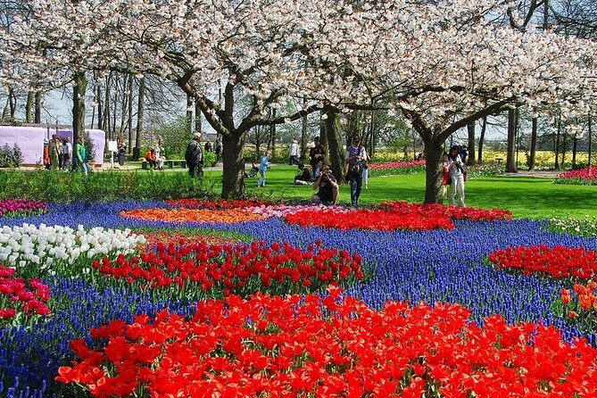 From Amsterdam: Keukenhof Gardens Ticket and Transfer - Price and value: what $41.51 gets you